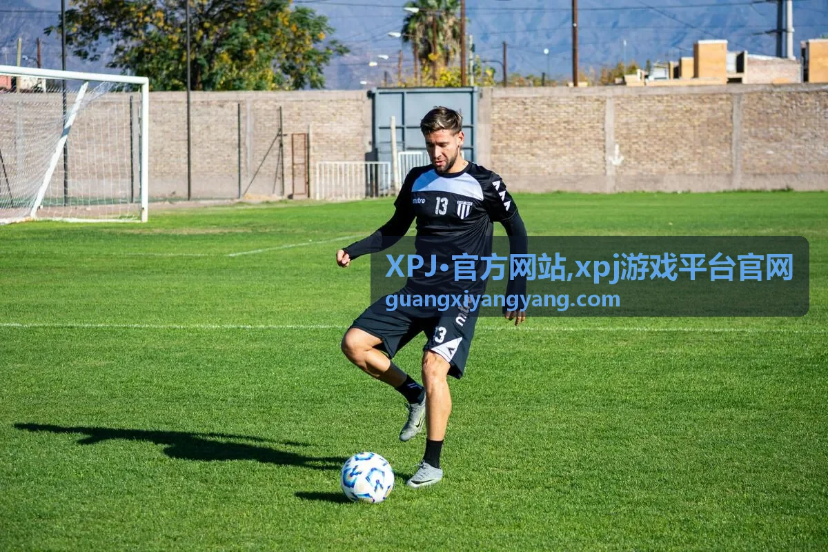 XPJ·官方网站官方入口指南封面
