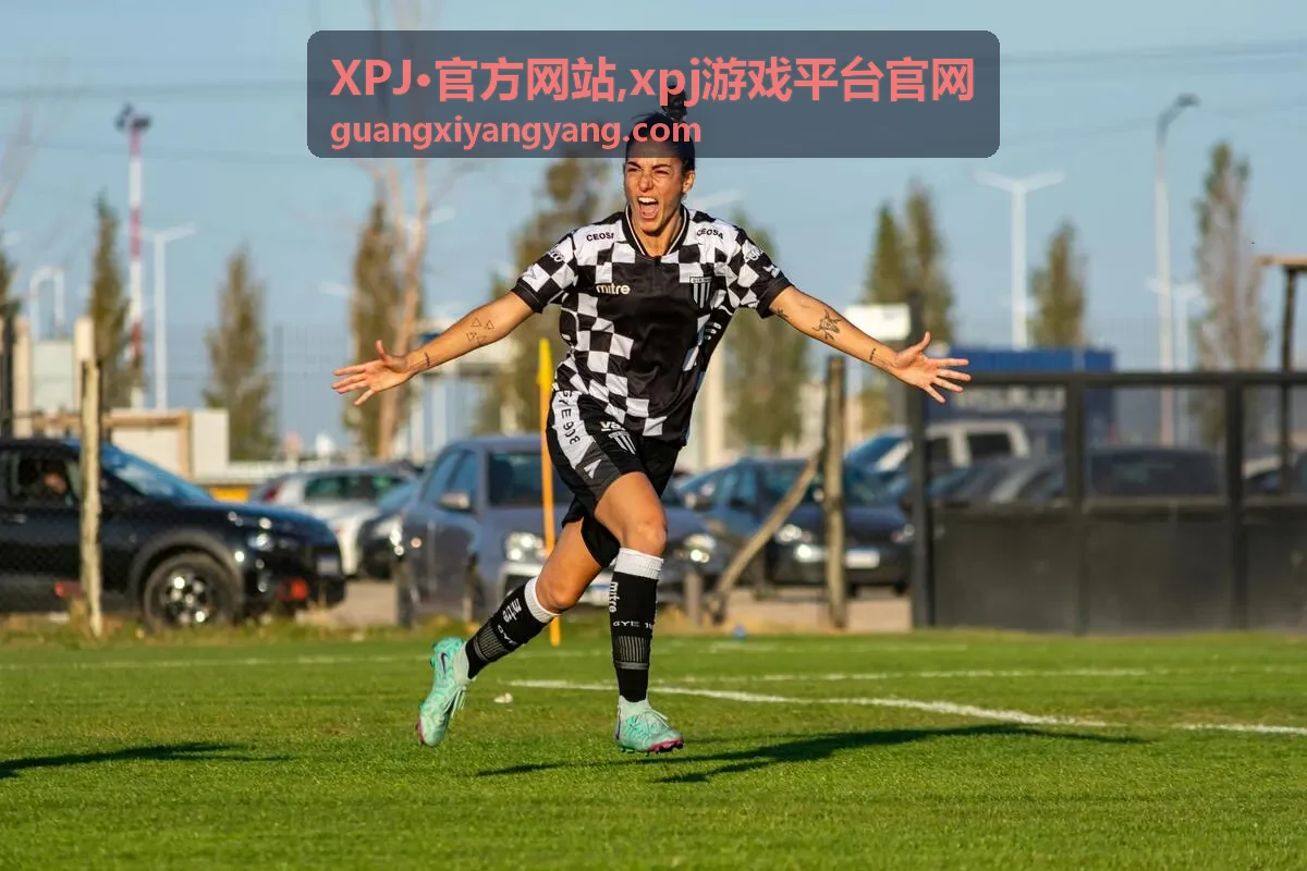 XPJ·官方网站常见问题说明